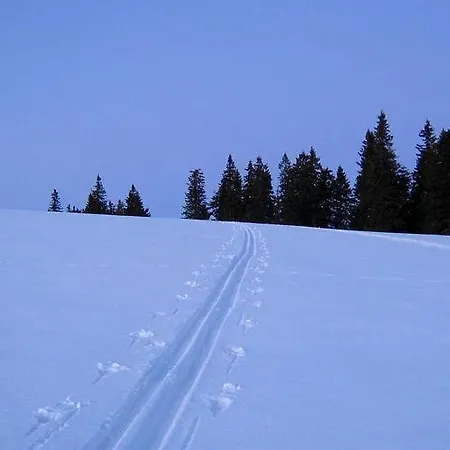 Penzion Cozy Nook Stays, Cycling, Hiking, Rogla In Terme Zreče, 3*