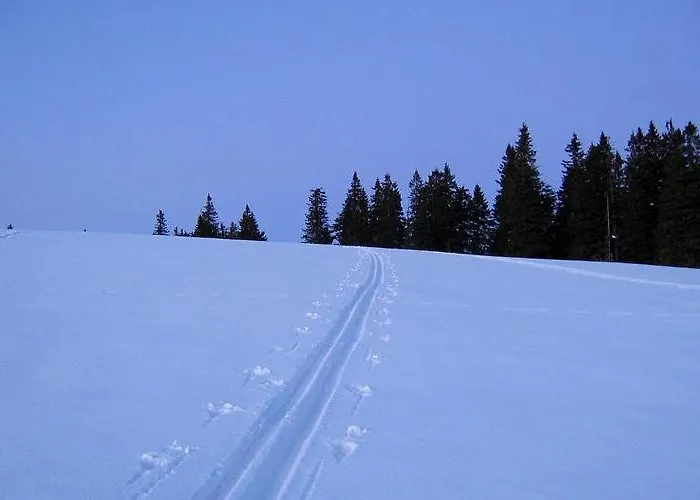 Gostinjska kuća Cozy Nook Stays, Rent, Med Roglo In Termami Zrece, 3*