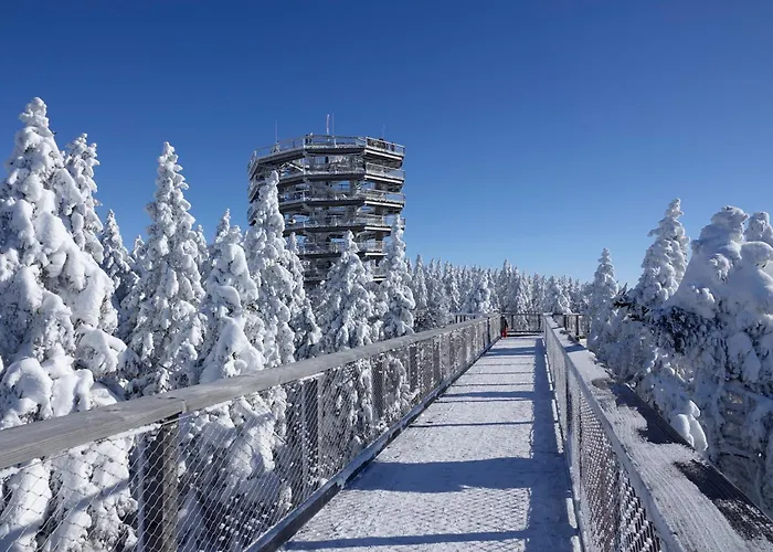 Cozy Nook Stays, Rent, Med Roglo In Termami Zrece, 즈코르녜즈레쎄