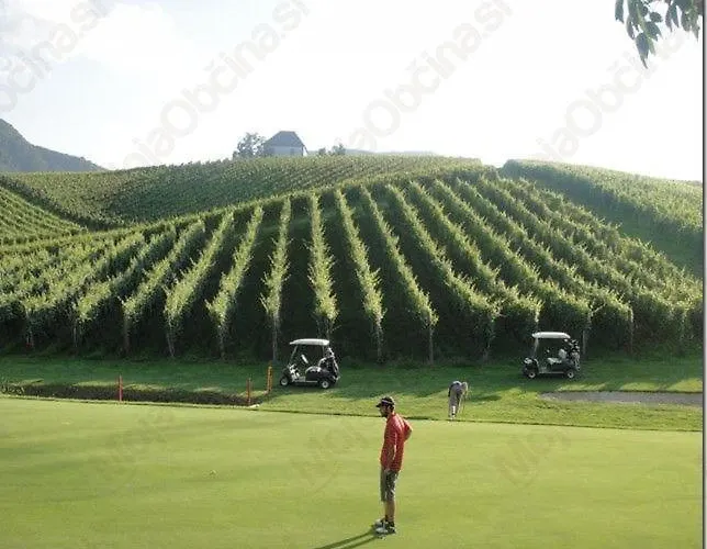 게스트하우스 Cozy Nook Stays, Rent, Med Roglo In Termami Zrece, 3*